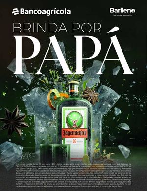 Catálogo Dia Del Padre
