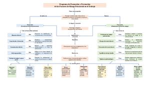 Programa De Promoción Y Prevención De Los Factores De Riesgo Psicosocial En El Trabajo