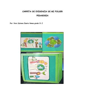 Carpeta De Evidencia De Mi Folder