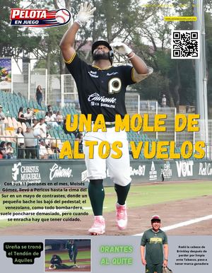 Pelota En Juego 5 (1)