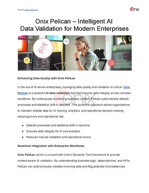 Onix Pelican – Intelligent Ai Data Validation For Modern Enterprises