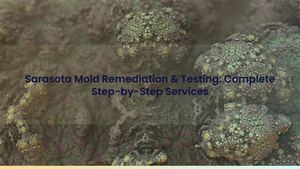 Sarasota Mold Remediation & Testing: Complete Step-by-Step Services