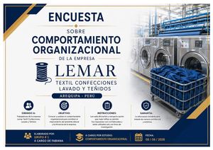 Encuesta De Lemar