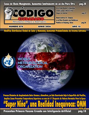 CODIGO CIUDADANO 874