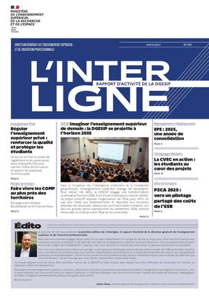 Rapport d'activité DGESIP