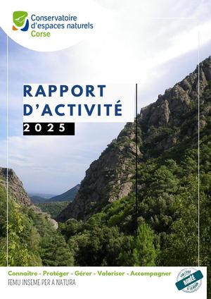 Rapport Activité 2025