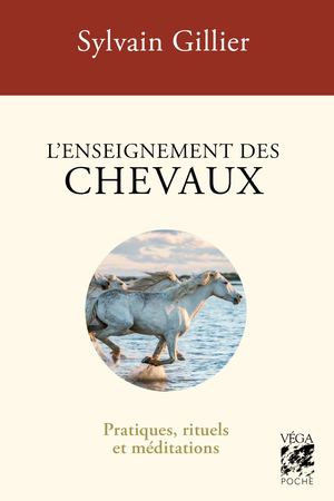 L'enseignement des chevaux, Sylvain GILLIER (EXTRAIT)