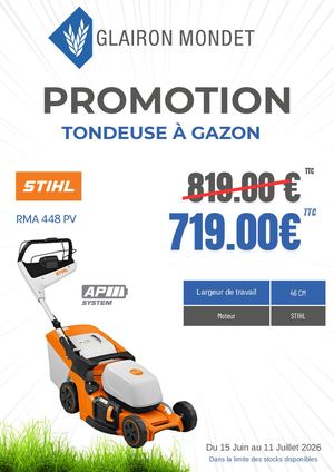 Promotion Tondeuse à gazon