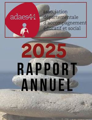 Adaes44 Rapport Activité 2025