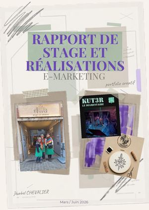 Rapport De Stage E Marketing