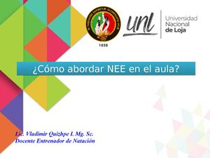 Estrategias Abordar Nee En El Aula