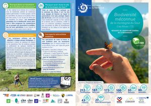 Biodiversité Méconnue Montagne Du Saut Les Allues