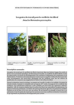 Les Gestes Du Travail Pour La Cueillette Du Tilleul Dans Les Baronnies Provençales (1)