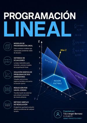 Revista Programación Lineal