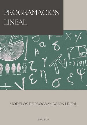 Revista Programación Lineal