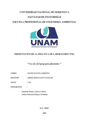 Uso De Qiaprep Para Plasmidos (Grupo 1) (2)