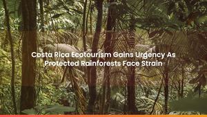 Costa Rica Ecotourism Gains Urgency As Protected Rainforests Face Strain