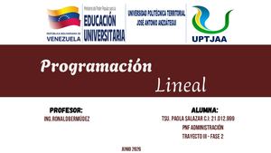 Programación Lineal Paola Salazar (1)