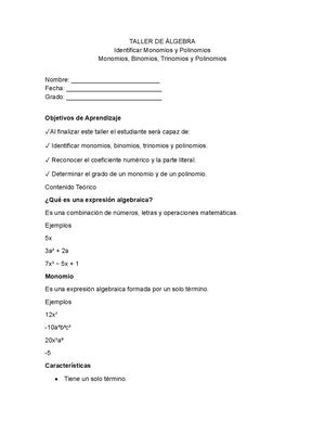 Taller Algebra Calameo