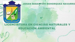 Presentación De Proyecto En Acuarela Moderna Verde 20260612 222641 0000