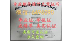 【官宣】新英格兰大学（UNE University‌）毕业证- 海外大学先修计划