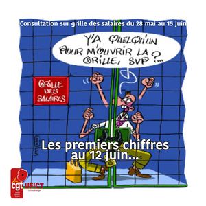 Participation À La Consultation Au 12 Juin