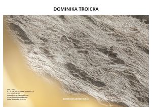 Portfolio Dtroicka