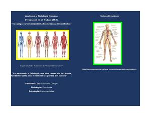 Cartilla Anatomia Y Fisologia Sst Sandra Alvarez