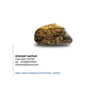 Portfolio Artist Shareef 2026