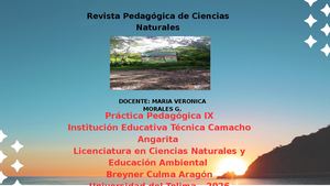 Presentacion Practica Pedagogica Ix (1)