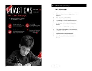 DIDACTICAS DEL  APRENDIZAJE