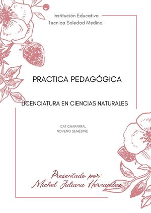 Practica Michel Final Pdf