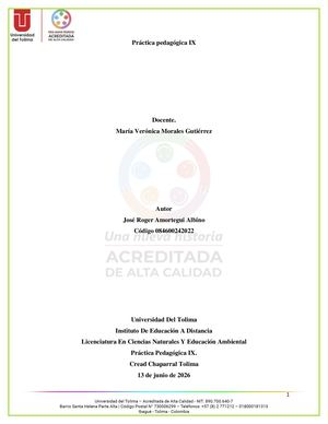 13 06 2026 Informe De Práctica Ix