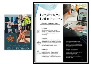 Folleto De Lesiones Más Comunes En El Trabajo O Vida Cotidiana
