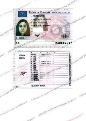 Dossier Locataire Mathilde Marescot (1) Filigrane