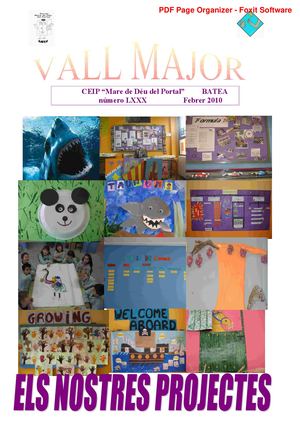 Vallmajor 80