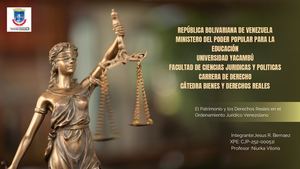 Brown Minimalist Lawyer Legal Presentation