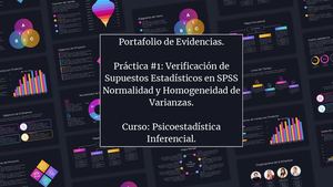 Portafolio