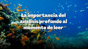 Importancia Del Analisis Profundo
