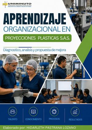 Aprendizaje Organizacional En Proyecciones Plasticas (1)