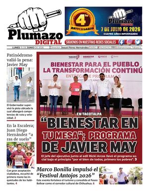 Plumazo Digital 771
