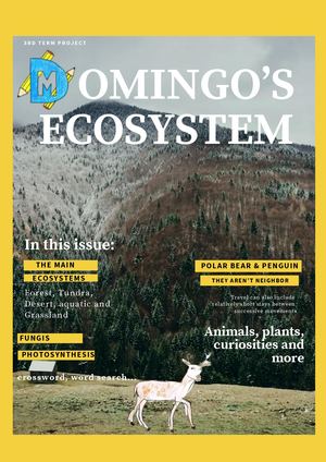 Magazine (6)