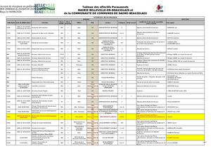 2026 086 PJ TPN 2 DEL 086 26 Annexe Tableau Des Emplois Permanents CCSB Et BEB Au 01 06 2026 Pdf
