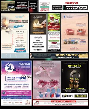 גיליון 51
