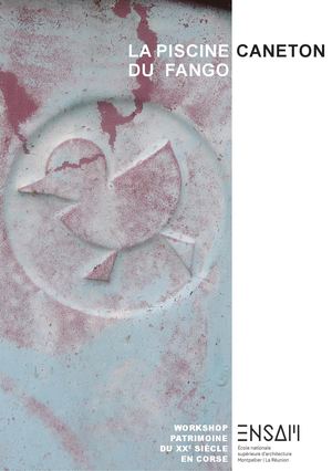 Plaquette Piscine Caneton