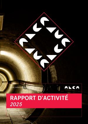 Rapport d'activité d'ALCA 2025