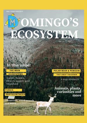 Magazine (7)