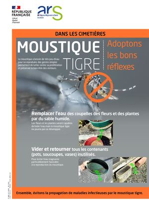 #Moustique Tigre Cimetiere A3