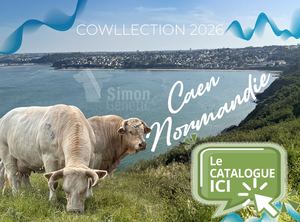 Normandie Cowllection 2026 - Simon Genetic