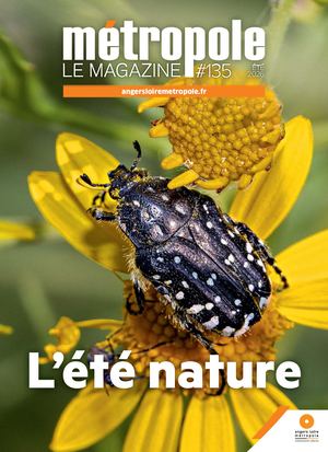 Métropole 135 - Eté 2026